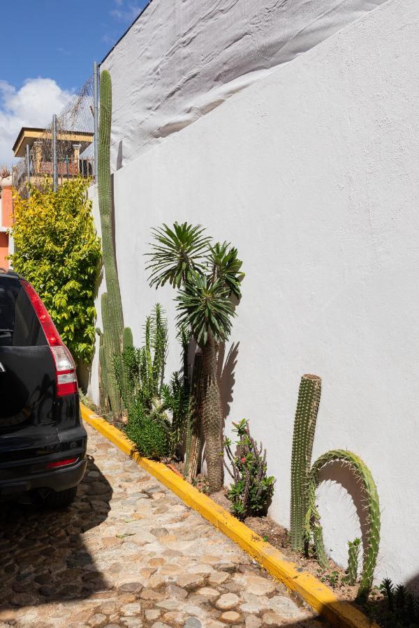 Siento Oaxaca Apartment Ngoại thất bức ảnh