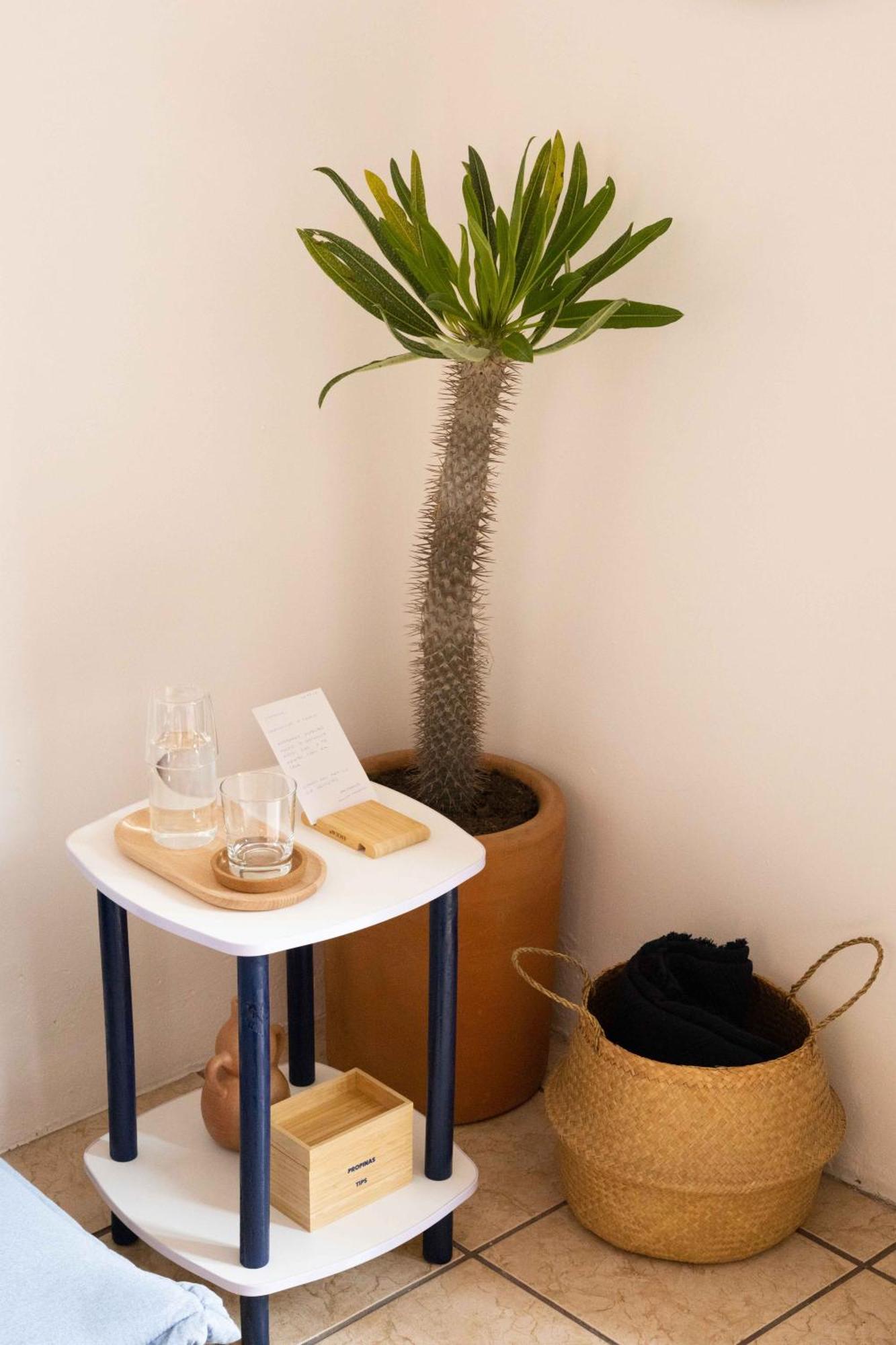 Siento Oaxaca Apartment Ngoại thất bức ảnh
