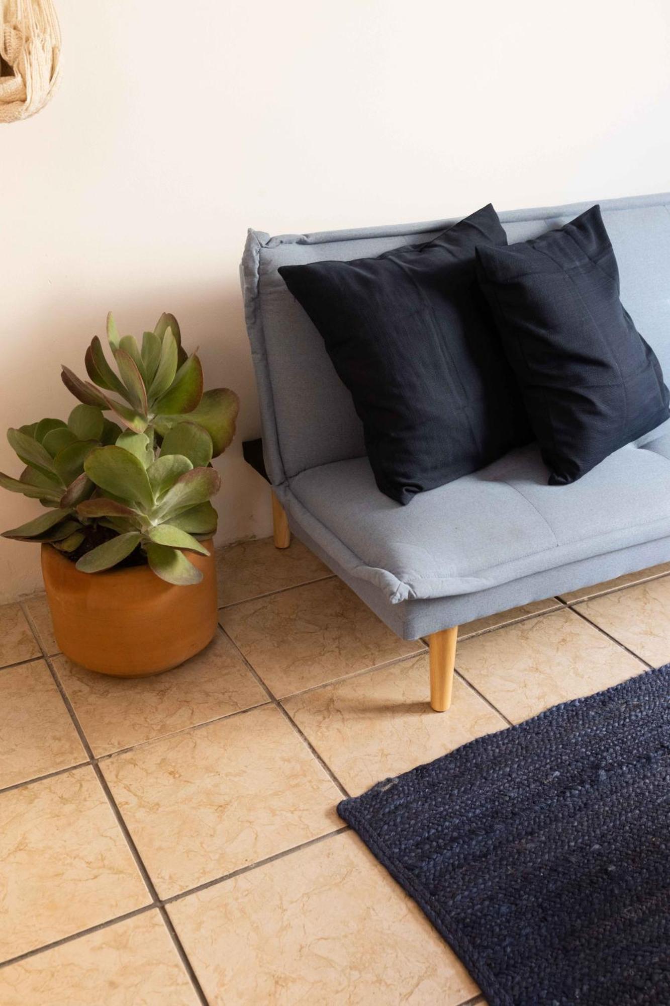 Siento Oaxaca Apartment Ngoại thất bức ảnh